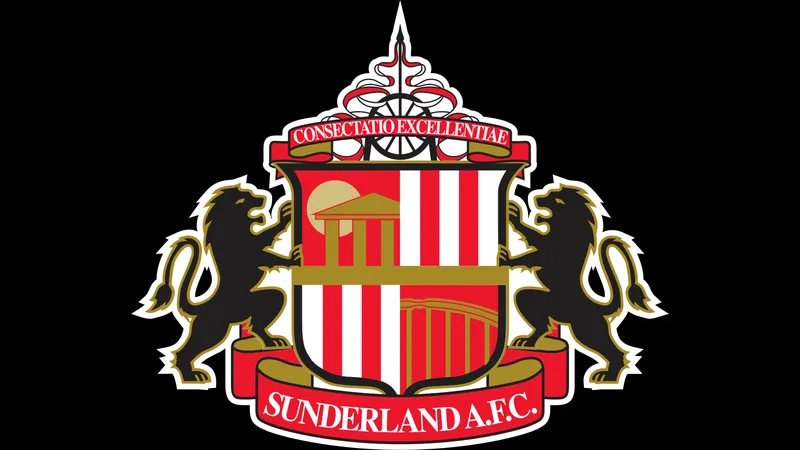 Cầu thủ Sunderland chặn đường dẫn bóng của Newcastle trên sân